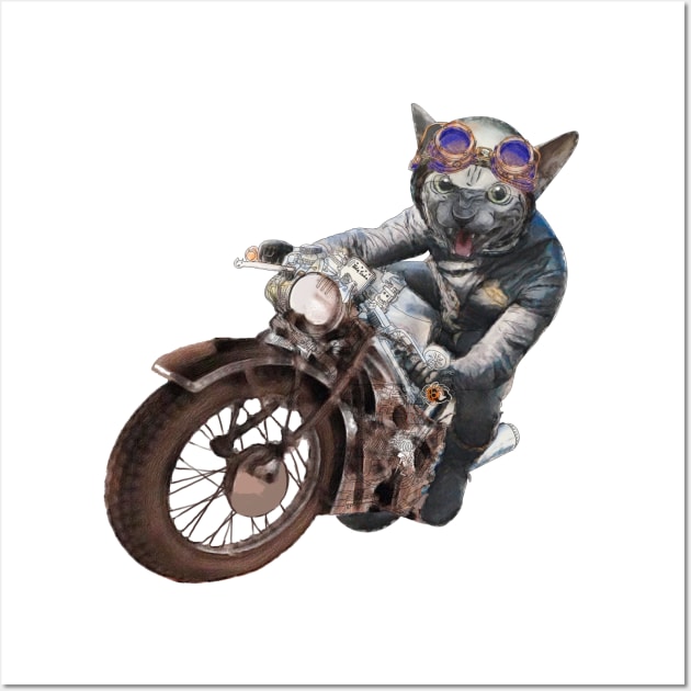 Cat Racer Wall Art by FelisSimha